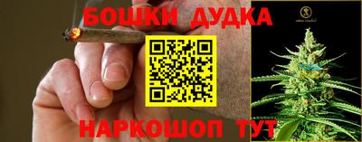 сатива Пыть-Ях