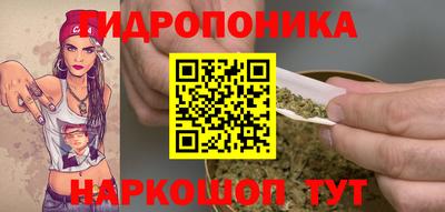 a pvp Пугачёв