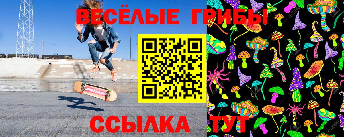 Сафоново  Псилоцибиновые грибы Cubensis  как найти закладки  Вход с VPN 